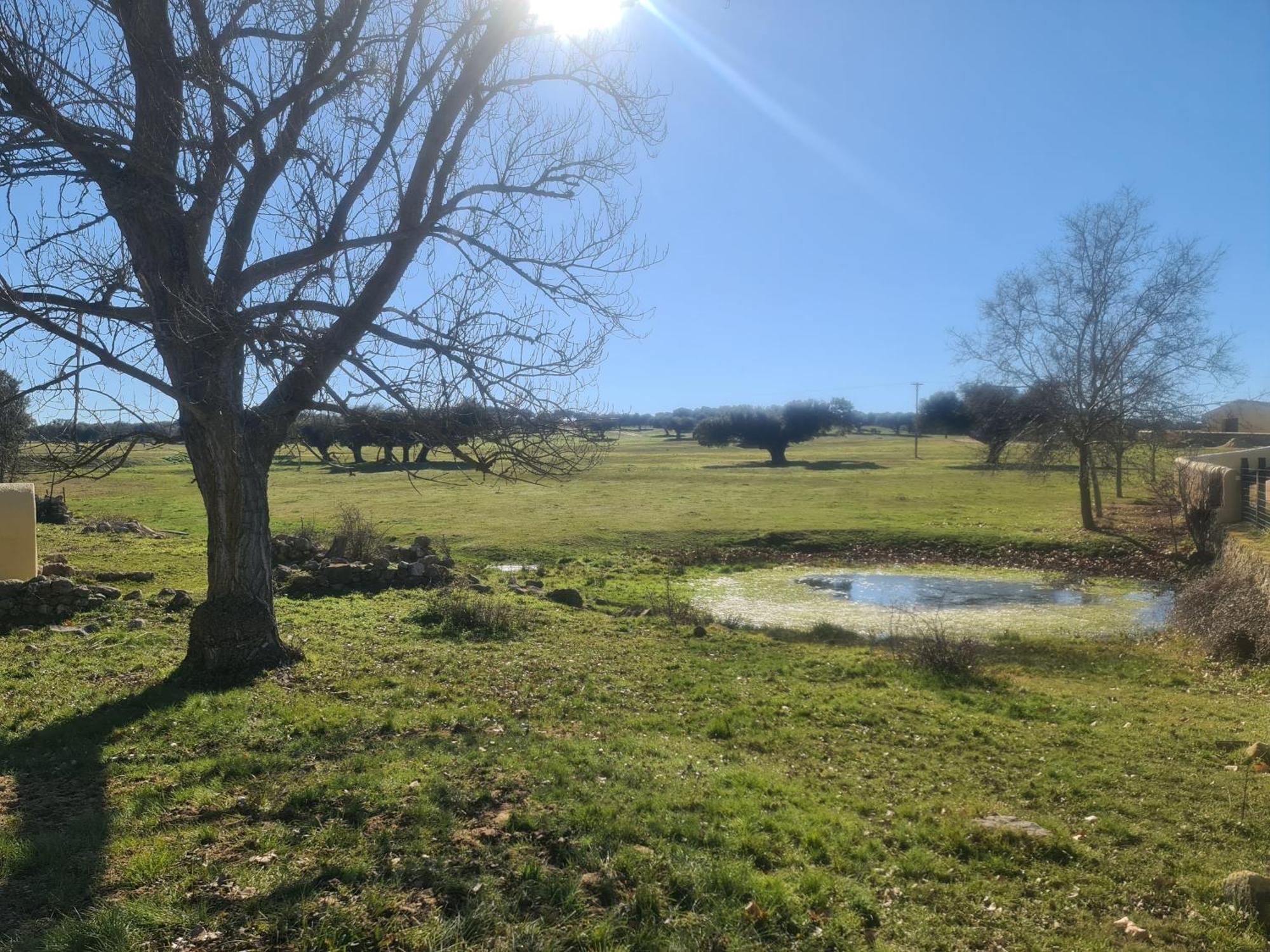 Casa Rural Palacio Conde De Aldana Con Piscina Entre Encinares Y Dehesas Terradillos Eksteriør bilde